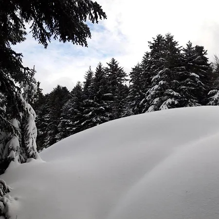 Pyrenees - Le Nid D'ax 아파트